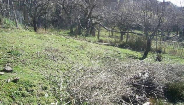 Immobile in asta di 4300 m² in vendita a Cerchiara di Calabria - Foto 3