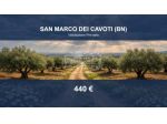 Immobile in asta di 1320 m² in vendita a San Marco dei Cavoti