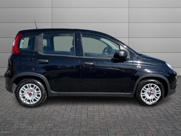 FIAT Panda 1.0 FireFly 70cv S&S Hybrid - Foto 3