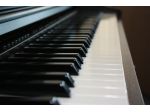 Pianista Crema