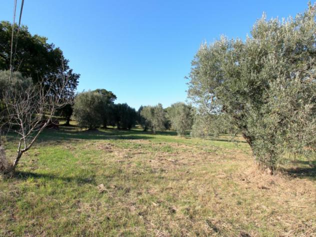 Casa di campagna di 120mq - Foto 7