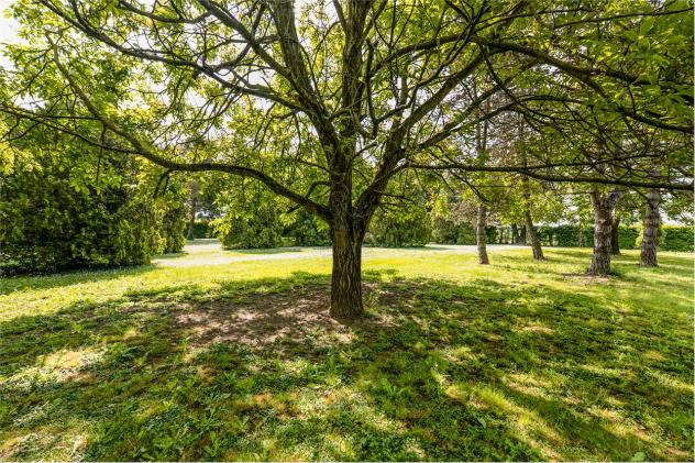 VA0312 - CARPI, SANTA CROCE - RUSTICO CON PARCO di 14.000 mq, POSSIBILE BIFAMILIARETRIFAMILIARE - Foto 18