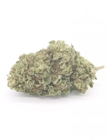 Cheddar - Foto 2
