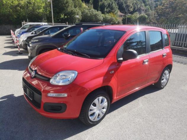 FIAT Panda 1.2 Easy rif. 24051404 - Foto 2