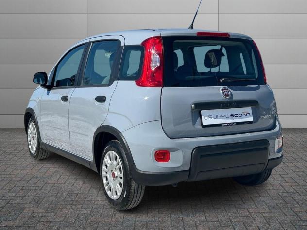 FIAT Panda 3ª serie 1.0 FireFly S&S Hybrid - Foto 4
