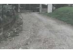 Immobile in asta di 12 m² in vendita a Carmignano