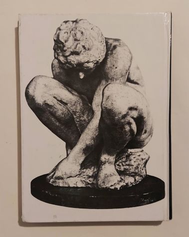 L’Ermitage di Goratseievich Shapiro Ed.Progress, Mosca 1979 perfetto - Foto 2