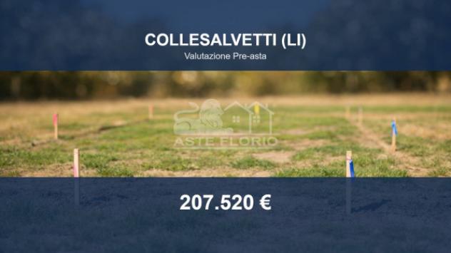 Immobile in asta di 34551 m² in vendita a Collesalvetti