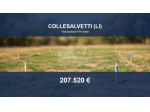 Immobile in asta di 34551 m² in vendita a Collesalvetti