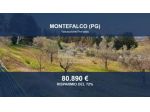 Immobile in asta di 5701 m² in vendita a Montefalco