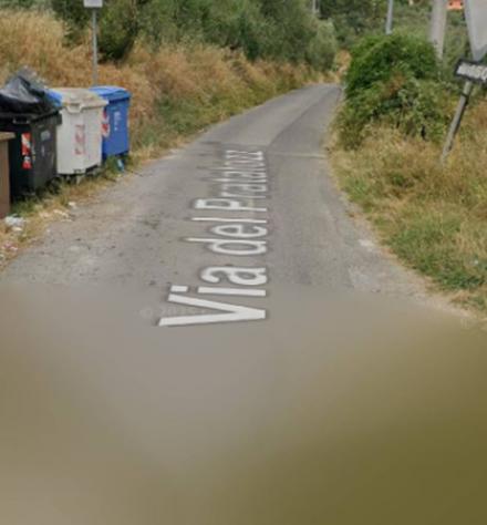 Immobile in asta di 74557 m² in vendita a Pescia