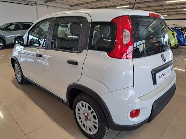 FIAT Panda III 2021 1.0 firefly hybrid s&s 70cv - Foto 2