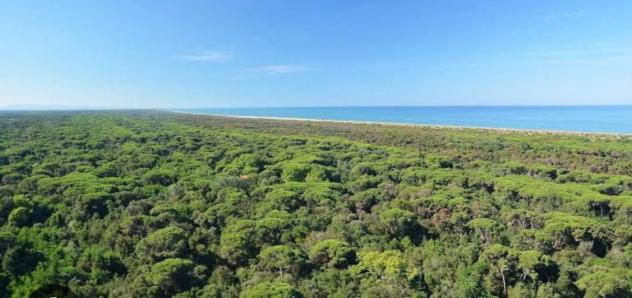APPARTAMENTO di 6 vani e di 145 mq (VIAREGGIO - zona Don Bosco) rif. A1007 - Foto 3