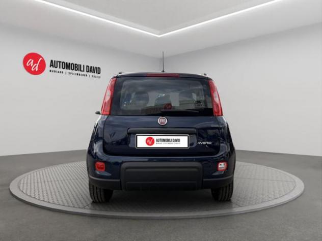 FIAT Panda 1.0 FireFly S&S Hybrid City Life rif. 24022272 - Foto 6