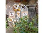 B&B Il Piccolo Giardino