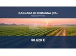 Immobile in asta di 32428 m² in vendita a Bagnara di Romagna