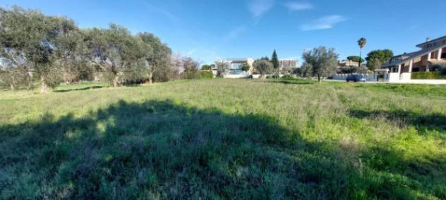 Immobile in asta di 6583 m² in vendita a Nereto - Foto 5