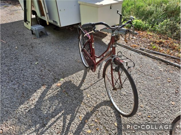 BICI DA DONNA GLOBUS ELEGANT - Foto 3