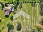 Villa con Vigneto e Parco
