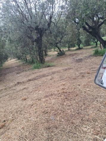 Terreno edificabile in vendita a Colonnella - Foto 11