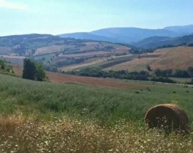 Immobile in asta di 1580 m² in vendita a Camerino - Foto 3