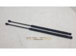 PISTONCINI COFANO POST. FIAT Qubo 1° Serie 1354844080 (0815)