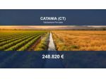 Immobile in asta di 205153 m² in vendita a Catania