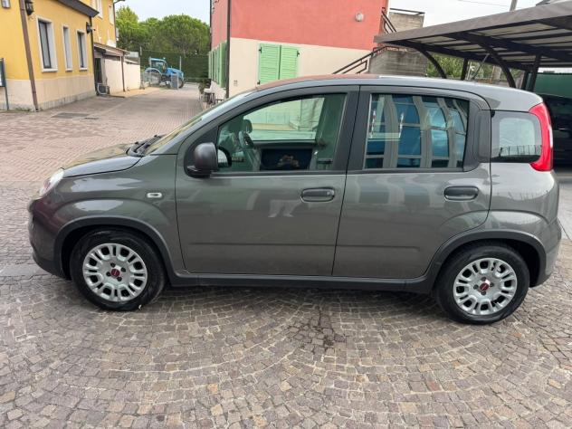 Fiat Panda 1.0 FireFly S&S Hybrid City Life - Foto 3
