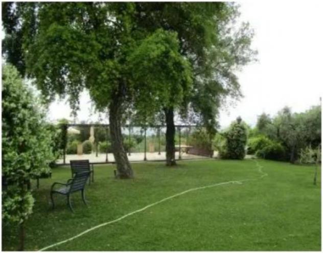 Immobile in asta di 2341 m² con più di 5 locali in vendita a Cepagatti - Foto 6