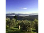 Agriturismo Bagnolo