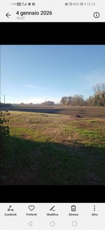 Terreni 1 ettaro e mezzo - Foto 5