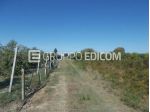 Terreno in vendita a Policoro - Rif. 4555564