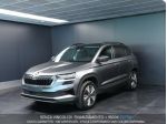 SKODA Karoq Karoq 2.0 TDI EVO SCR 115 CV DSG Executive