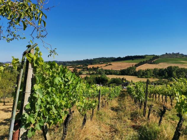 Terreno agricolo in vendita a Poggibonsi 7700 mq Rif: 1403716 - Foto 7