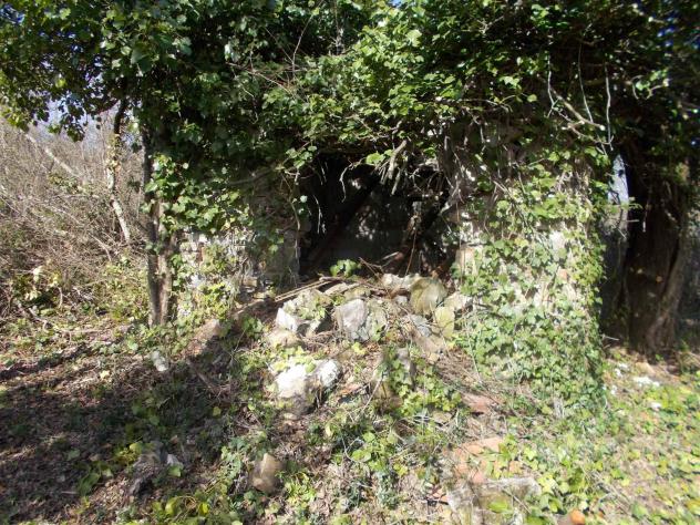 Terreno agricolo in Vendita in zona MONTORSOLI con giardino - Foto 5