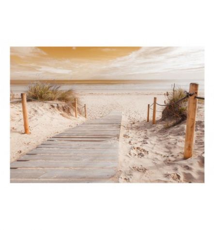 Fotomurale Adesivo In Spiaggia Prima Del Tramonto Arredalacasa - Foto 2