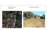 Terreno edif. residenziale in vendita a Lorenzana - Crespina Lorenzana 2300 &hellip;