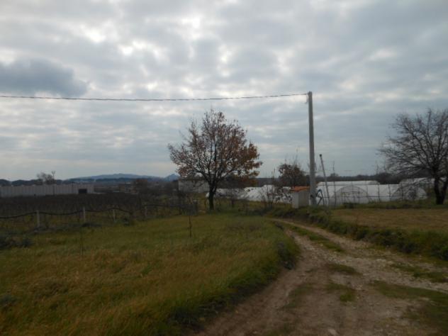 Casa indipendente affiancata per un lato su due livelli per un totale di mq 80 con terreno circostante di mq 3.000 - Foto 5
