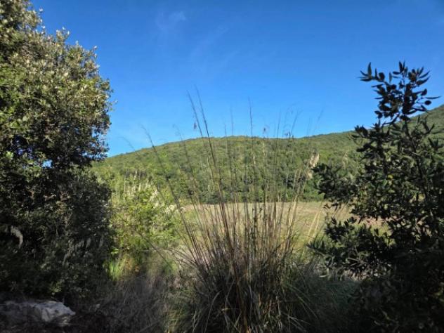 Immobile in asta di 684931 m² in vendita a Francolise - Foto 2