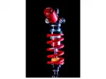 Kawasaki Zx-4 r ammortizzatore cartucce pressurizzate Bitubo Fg Gubellini
