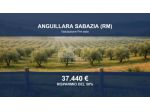 Immobile in asta di 9390 m² in vendita a Anguillara Sabazia