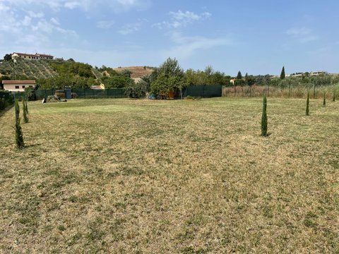 Vendesi terreno agricolo - Foto 4