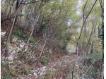 Immobile in asta di 4314 m² in vendita a Segusino