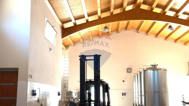 Capannone Industriale in vendita a Partinico - Foto 14