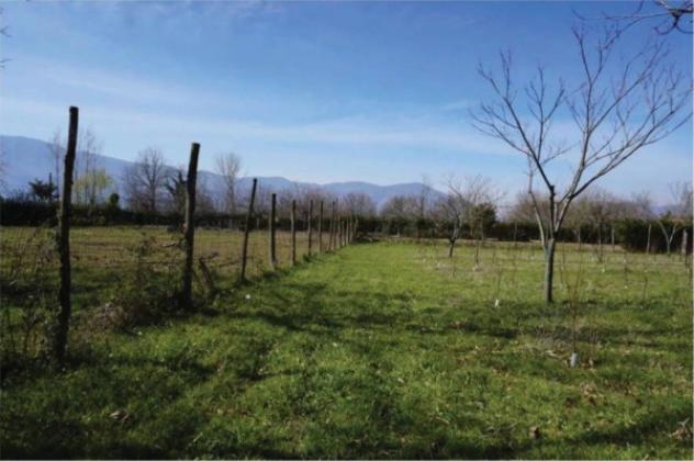 Immobile in asta di 186 m² in vendita a Montesarchio - Foto 4