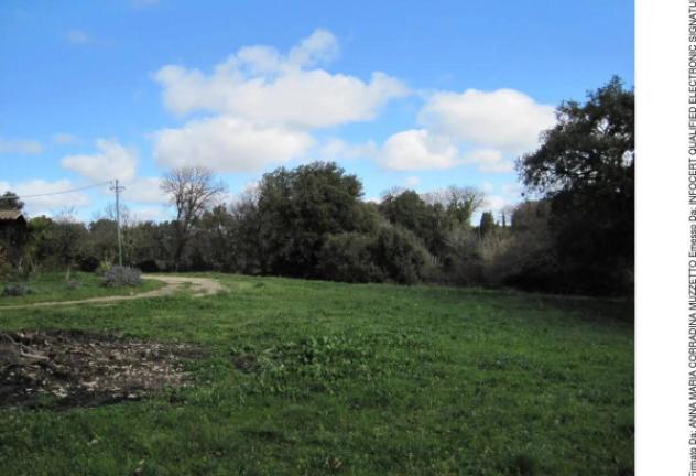 Immobile in asta di 271 m² con più di 5 locali in vendita a Tempio Pausania - Foto 9