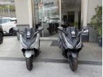 HONDA Forza 350 MY26 Euro 5+ PROMO RCA+TASSO ZERO rif. 23681615