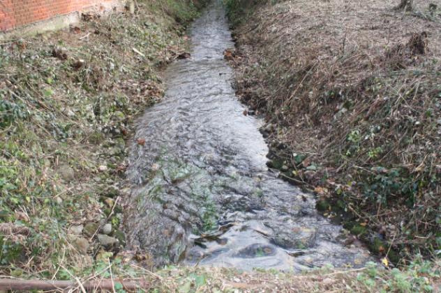 Rustico / Casale di 500 m² con 5 locali in vendita a Cavaglietto - Foto 5