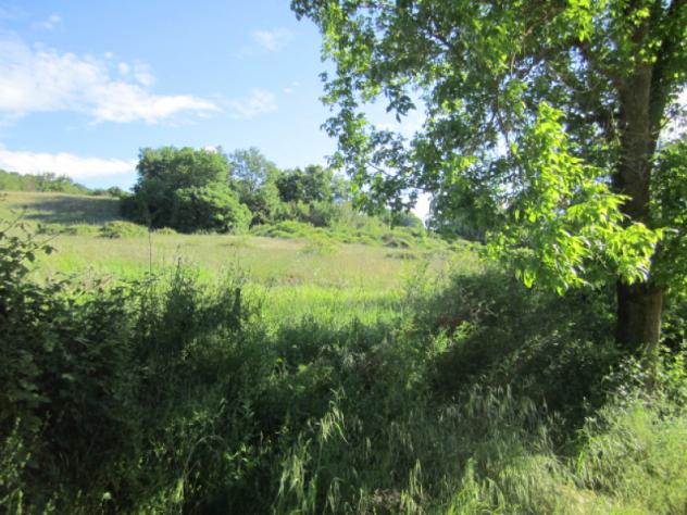 Casa di campagna in Località Penna-Molino - Foto 14