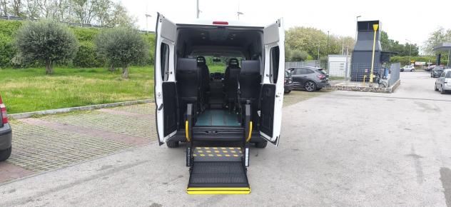 Fiat Ducato 9 Posti per Disabili - Foto 4